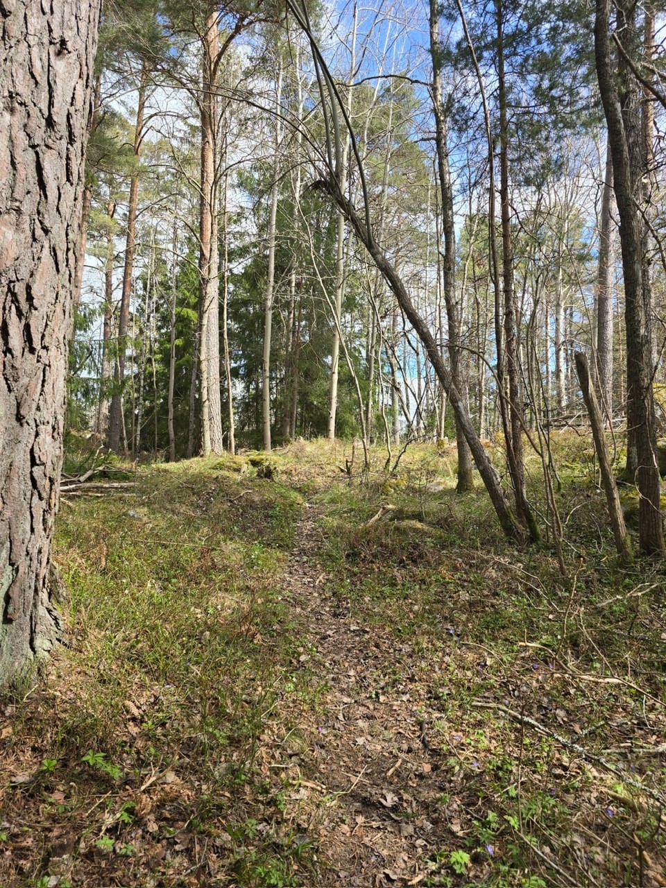Tack för fin insats på städdagen!