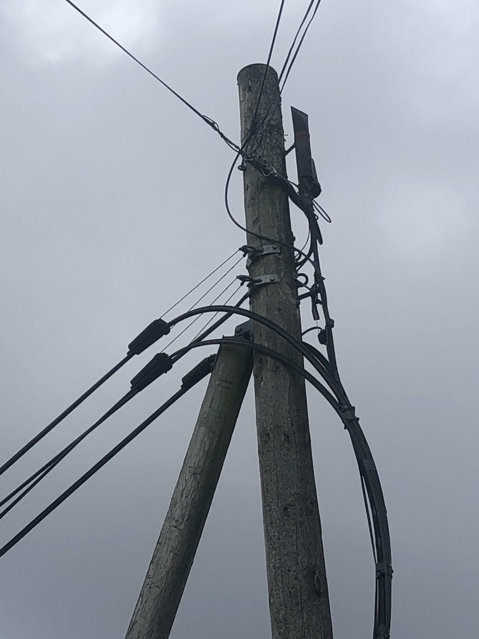 Nyheter om parkeringsvakter, farthinder samt Telias arbete med stolprasering